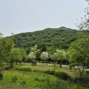 장어세상 이미지