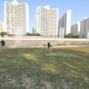 도로시벨 이미지