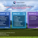 반려동물과 함께하는 해외여행, 제대로 떠나려면 이건 꼭 알아야 해!