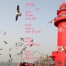 오이도 이미지