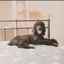 봉춘농장 이미지