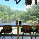 하늘풍경헤어샵 | 여의도미용실 준오헤어 여의도KBS별관점 나린쌤 커트 후기, 깔끔하게 분위기 바꾸고 왔어요.