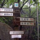 안서초등학교 이미지