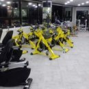 금당헬스 이미지