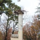 광주사직공원 이미지