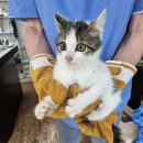 슬비농장 이미지