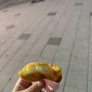꽈백최선생 티스토리