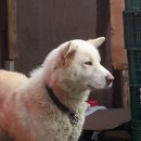 풍호농장 이미지