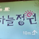 서울 억새축제 이미지