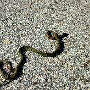 수지면 마연마을 이미지