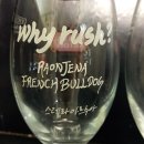 스타켄넬 이미지