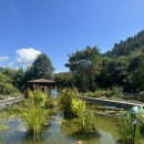 단산포도식당 이미지