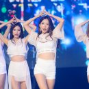 스텔라