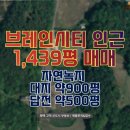 용암IC부동산중개소 | 평택 브레인시티 인근 토지 매매정보(송탄역 13분, 중흥아파트 4분)