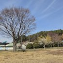 수태2리 이미지