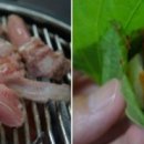 까치네 네이버블로그