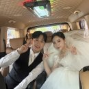 나라축사 | 대구 노비아갈라 동촌 시그니아홀 본식 후기｜신부가 직접 쓴 리얼 결혼식 리뷰