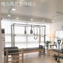에스제이 골프 | 신정동 필라테스 에스제이필라테스 필라테스 플레이스 사용 장비 소개