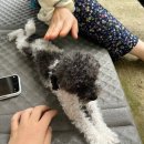 수궁펜션 | 부산 근교 양산 여름 촌캉스 숙소 만찐두빵 후기