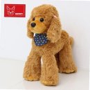 브라운퍼피 이미지