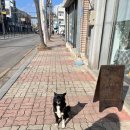 도도과자점 이미지