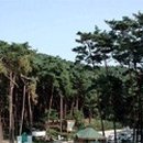 아산정