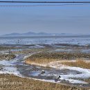 갯벌소리 이미지