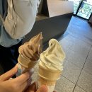 세라핌어린이집 | 호주 어학연수 1일차 ALS 어학원 레벨테스트 후기 | 호주 워홀 39일차 시청 미술관