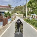 한스트레일