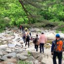 박달나무쉼터 옆 이미지