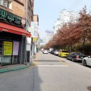 수목토 세탁소 이미지