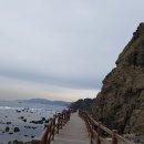 노적목장 티스토리