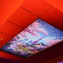 카쿠레가 역삼 직영점 이미지