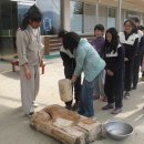 해림초교 이미지