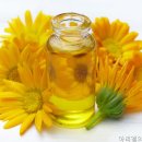 아리엘의원 네이버블로그