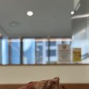 정숙성 세종점 이미지