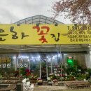 은하꽃집 이미지