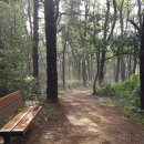 금병산 누리길 이미지