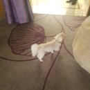 호텔 아트리움 이미지