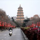 명보오토바이