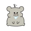 스텔라떡볶이경남함안점 이미지