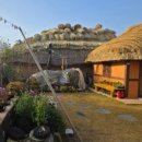 인동초민박 이미지