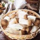 호산목장 이미지