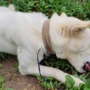 양강농장 이미지