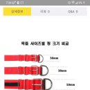한스켄넬 - 남양주시 양진로 375-5 | 한스켄넬