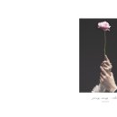 정성을 담다 이미지
