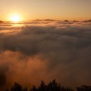 미사리 - 서구 | 미사리