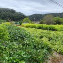 키다리부동산공인중개사무소 이미지