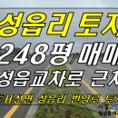 표선교차로 이미지