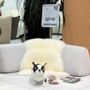 북문대로 | 베니시모 광주점 ｜신혼가구 소파·식탁 직접 보고 구입한 계약후기 💍🤍